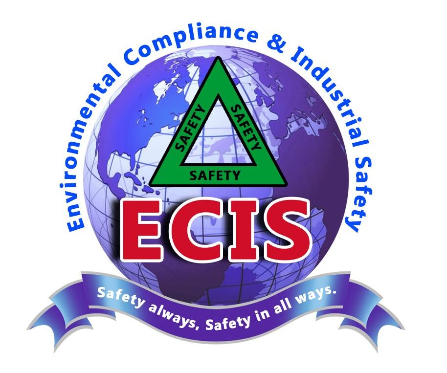 ecis safety institute logo